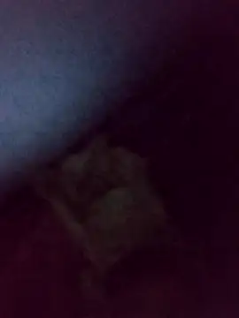 Snapshot of Drian1010 chatting on 11/04/25, 05:39 Drian1010 online show from 11/04/25, 05:39