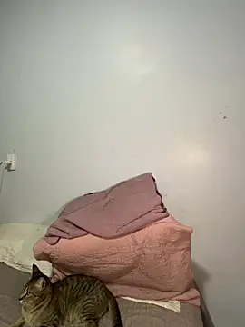 Snapshot of lele_inocente chatting on 03/11/26, 12:16 lele inocente online show from 03/11/26, 12:16