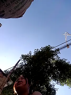 Bee-bgolden online show from 11/26/25, 07:31