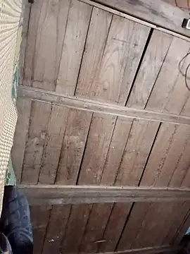 Bee-bgolden online show from 11/27/25, 02:30