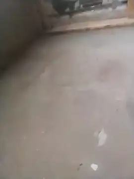 Lollittaxxxx2 online show from 11/11/25, 10:15