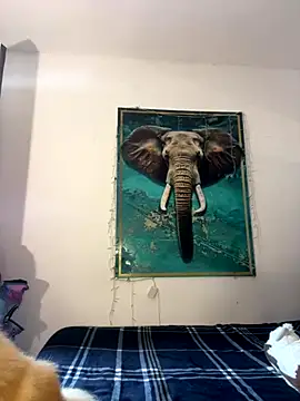 alisaa jhons1 online show from 12/14/25, 04:56