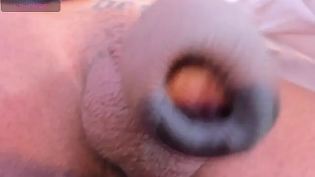 camii raux online show from 03/10/26, 09:31