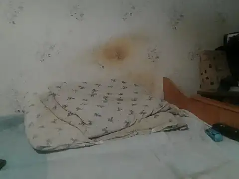 Snapshot of Kreol69 chatting on 11/19/25, 04:51 Kreol69 online show from 11/19/25, 04:51