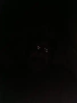 bruno 324278 online show from 05/28/26, 02:53