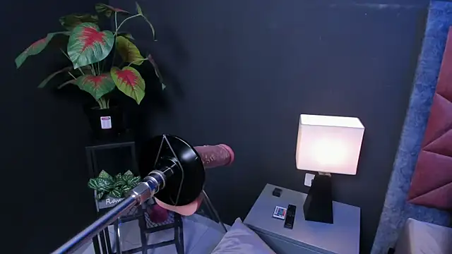 Amy whittee online show from 03/27/26, 03:34