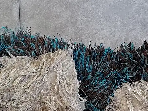 LannyShell online show from 11/26/25, 05:25