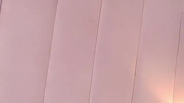 Snapshot of LannyShell chatting on 03/11/26, 05:08 LannyShell online show from 03/11/26, 05:08