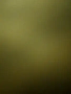 Snapshot of crazy_boy55 chatting on 12/15/25, 05:28 crazy boy55 online show from 12/15/25, 05:28