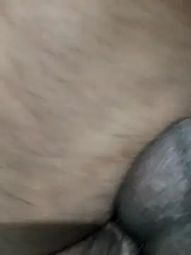 LEOMEGHA2026 online show from 11/19/25, 04:51