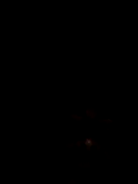 Snapshot of Joseerinaldo99 chatting on 02/14/26, 02:08 Joseerinaldo99 online show from 02/14/26, 02:08