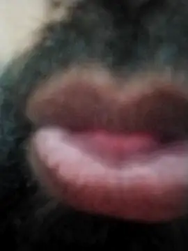 hyderabad single online show from 11/24/25, 12:38