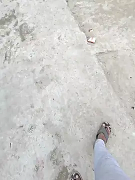 Snapshot of Pagalladka-89 chatting on 12/01/25, 06:51 Pagalladka-89 online show from 12/01/25, 06:51