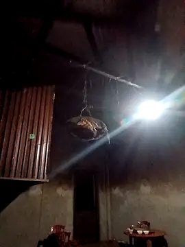 blonde blg online show from 02/12/26, 10:38