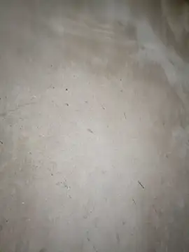 blonde blg online show from 03/14/26, 11:32