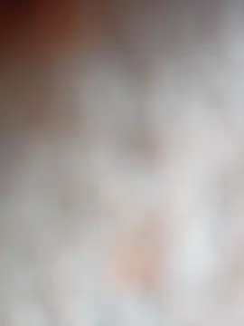 Tayanehot online show from 12/02/25, 09:14