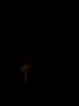 RonnySlim online show from 01/06/26, 03:49