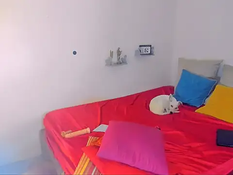 hotcassy online show from 02/25/26, 09:57