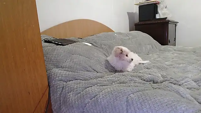 MissyDior8 online show from 02/04/26, 09:59