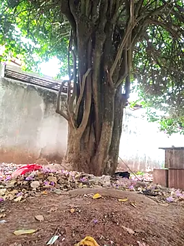 Lucasjandre online show from 11/22/25, 10:14