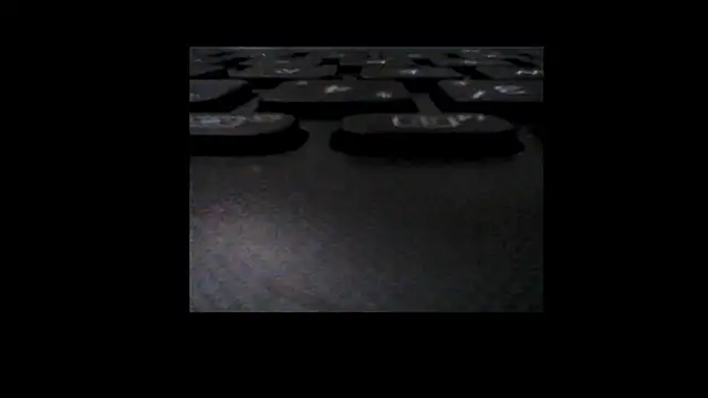 hairbearplugged online show from 11/16/25, 02:06