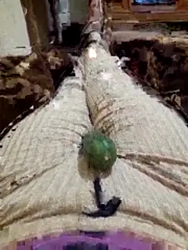 Tota sexi online show from 11/27/25, 10:45