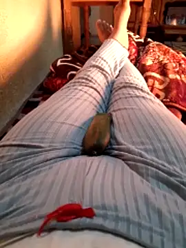 Tota sexi online show from 12/04/25, 11:30