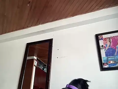 Dreana online show from 02/13/26, 04:58