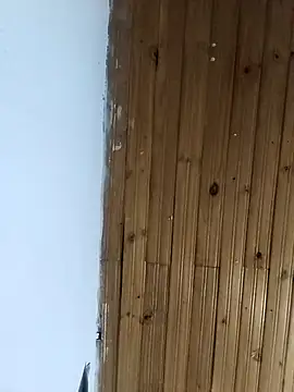 Snapshot of la_beba20 chatting on 01/11/26, 03:55 la beba20 online show from 01/11/26, 03:55