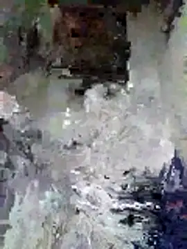 Junior 47 online show from 11/16/25, 08:31