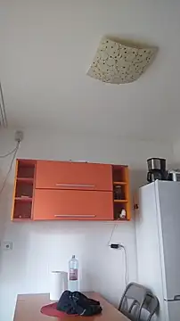 Dale E online show from 01/28/25, 08:36