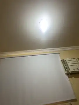 olicaroo online show from 11/19/25, 05:35