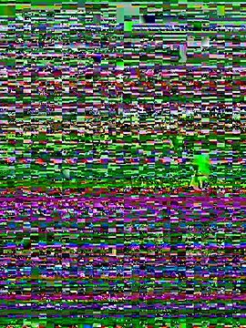 Maria-Becker online show from 01/05/26, 05:27