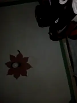 Snapshot of honeypot224 chatting on 03/15/26, 03:56 honeypot224 online show from 03/15/26, 03:56