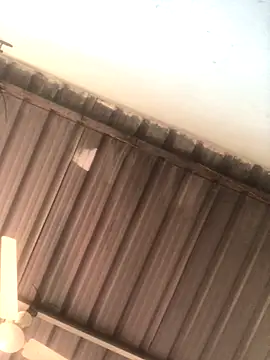 sexguruxxx online show from 11/19/25, 06:13