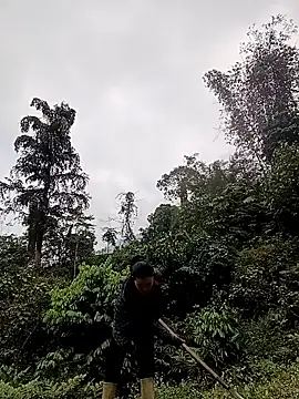 meomeo-00 online show from 03/18/26, 08:06