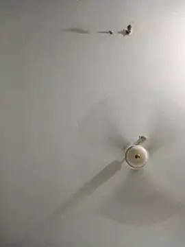 rupamim online show from 03/26/26, 09:09