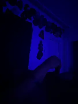 Snapshot of kingping87 chatting on 09/26/25, 10:08 kingping87 online show from 09/26/25, 10:08