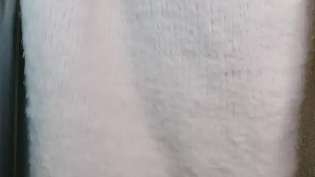 Snapshot of miyu0003 chatting on 11/24/25, 01:00 miyu0003 online show from 11/24/25, 01:00