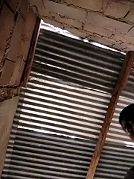 manumegumy online show from 11/19/25, 07:25