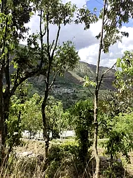 Snapshot of Cute_Lucky chatting on 04/09/26, 06:19 Cute Lucky online show from 04/09/26, 06:19