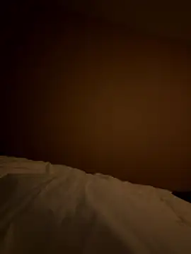 case2497 online show from 01/06/26, 10:45