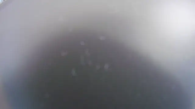 Noah Greenhart online show from 01/15/26, 07:39