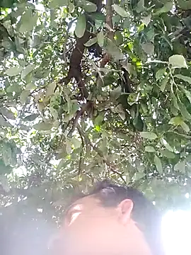 nori dunda online show from 12/17/25, 06:47