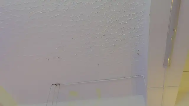 pucca7 online show from 05/13/26, 12:13