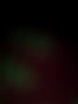 Nandani-758 online show from 12/18/25, 12:00