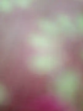 Nandani-758 online show from 02/20/26, 09:00