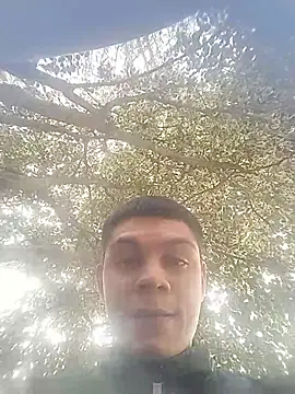 sebastianfelipe online show from 06/02/26, 08:55