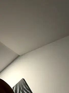 Snapshot of Dig_Bick44 chatting on 11/29/25, 09:07 Dig Bick44 online show from 11/29/25, 09:07