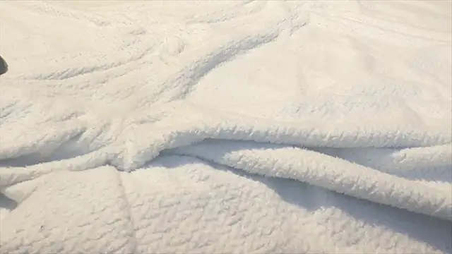 famous1tad online show from 12/22/25, 07:38